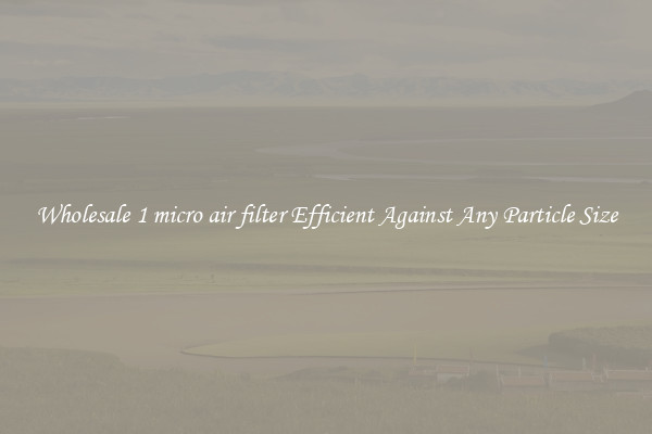 Wholesale 1 micro air filter Efficient Against Any Particle Size