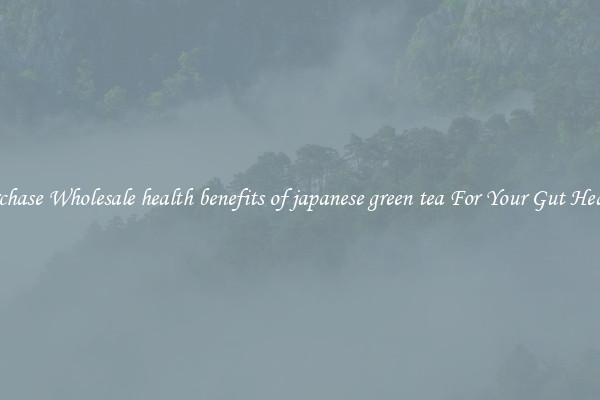 Purchase Wholesale health benefits of japanese green tea For Your Gut Health 