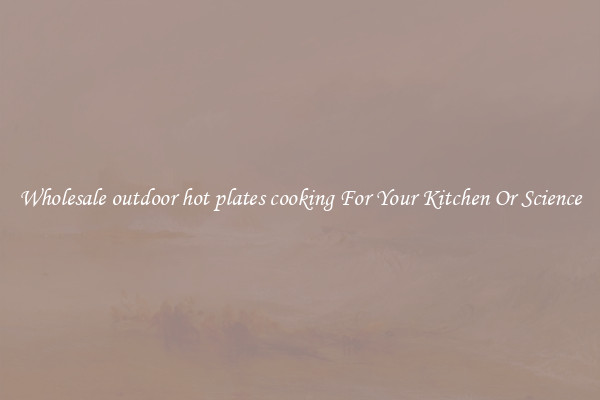 Wholesale outdoor hot plates cooking For Your Kitchen Or Science