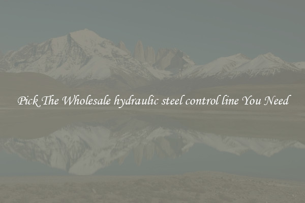 Pick The Wholesale hydraulic steel control line You Need