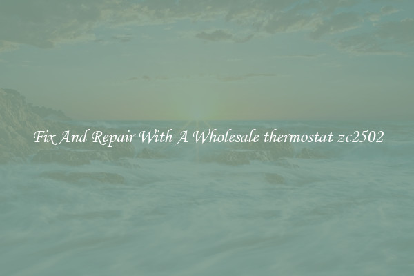 Fix And Repair With A Wholesale thermostat zc2502