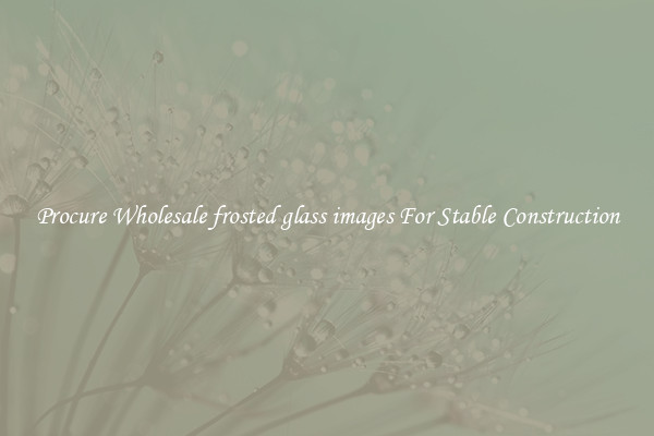 Procure Wholesale frosted glass images For Stable Construction