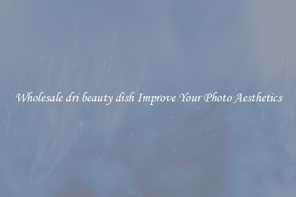 Wholesale dri beauty dish Improve Your Photo Aesthetics