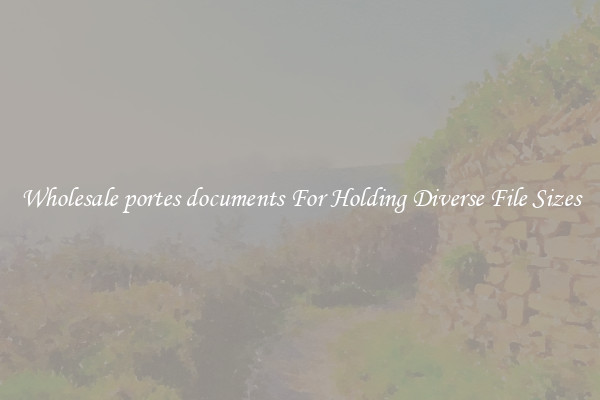 Wholesale portes documents For Holding Diverse File Sizes