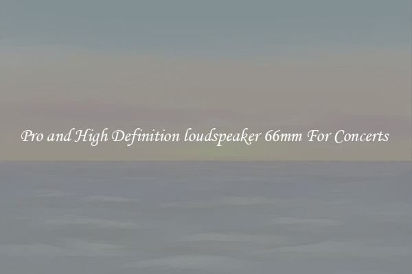 Pro and High Definition loudspeaker 66mm For Concerts 