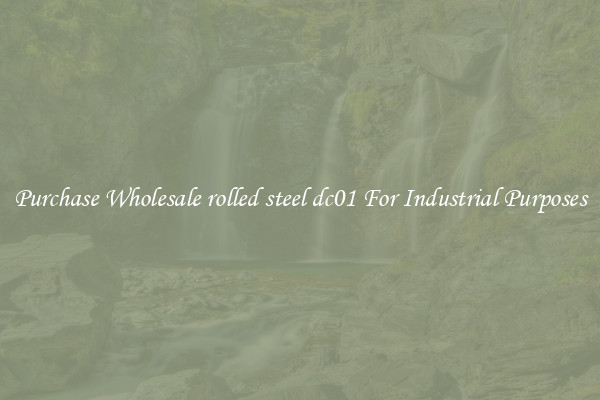 Purchase Wholesale rolled steel dc01 For Industrial Purposes