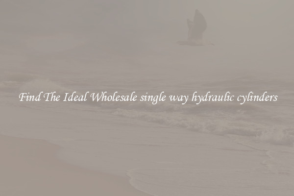Find The Ideal Wholesale single way hydraulic cylinders