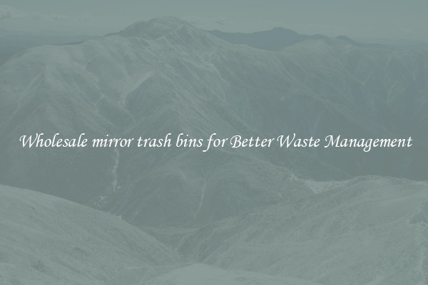 Wholesale mirror trash bins for Better Waste Management