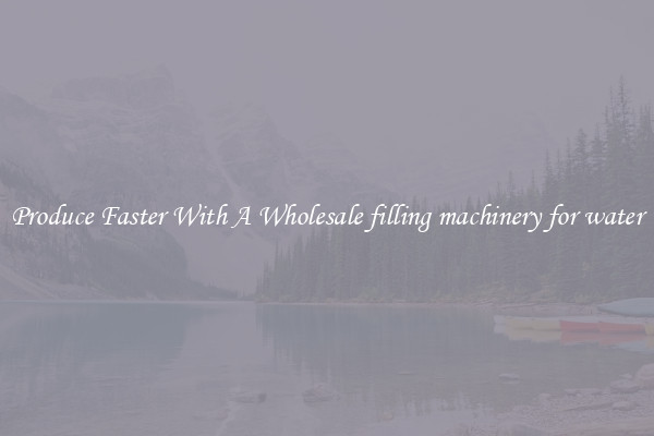Produce Faster With A Wholesale filling machinery for water