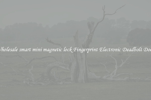 Wholesale smart mini magnetic lock Fingerprint Electronic Deadbolt Door 