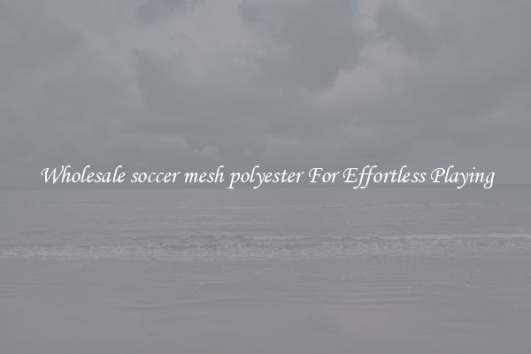 Wholesale soccer mesh polyester For Effortless Playing