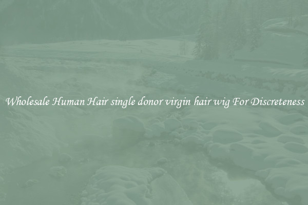 Wholesale Human Hair single donor virgin hair wig For Discreteness