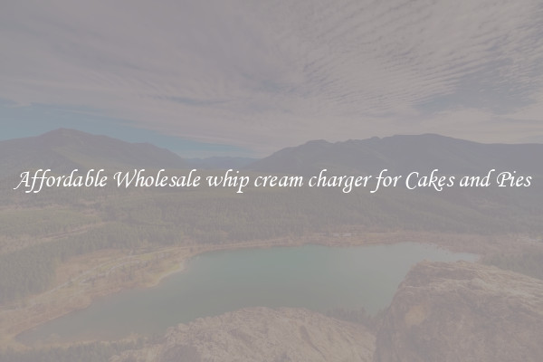 Affordable Wholesale whip cream charger for Cakes and Pies