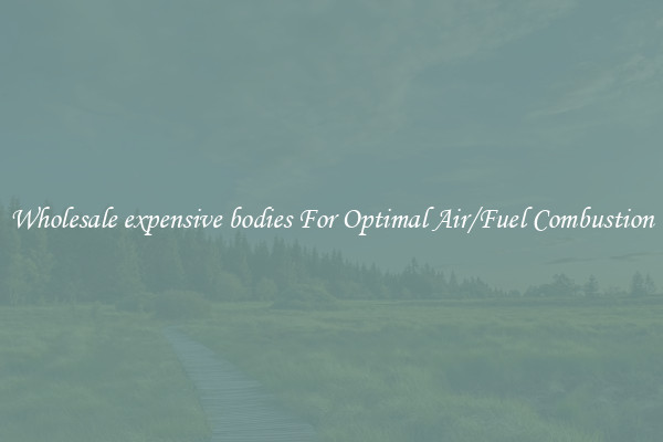 Wholesale expensive bodies For Optimal Air/Fuel Combustion