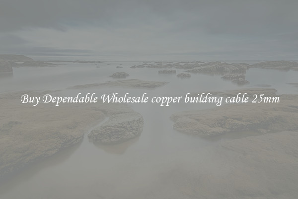 Buy Dependable Wholesale copper building cable 25mm