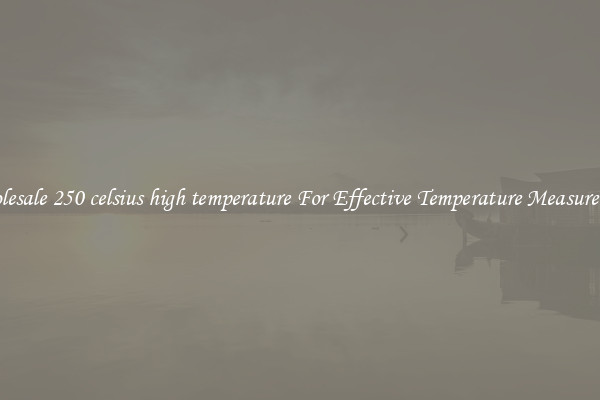 Wholesale 250 celsius high temperature For Effective Temperature Measurement