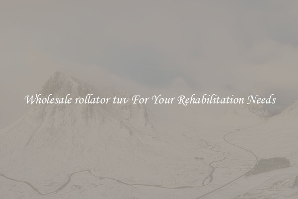 Wholesale rollator tuv For Your Rehabilitation Needs
